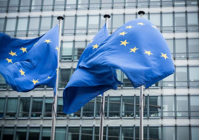 EU flags blowing in the wind
