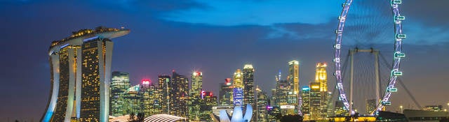 View of Singapore skyline at night