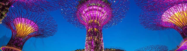 Singapore Super Trees