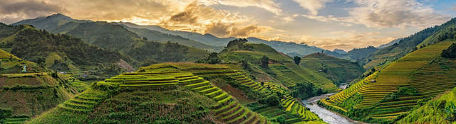 Vietnamese countryside