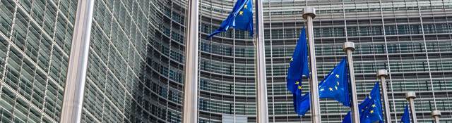 European Union flags flying in front of a building