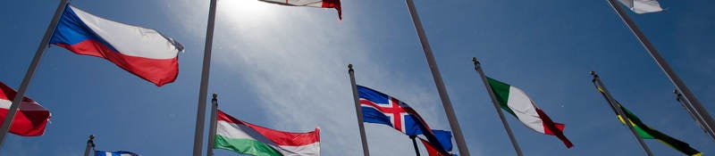 Photo of flags from around the world flying in the wind