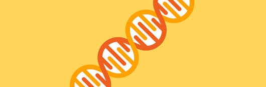 Drawing of DNA strand