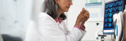 Doctor reviewing x-rays on a computer