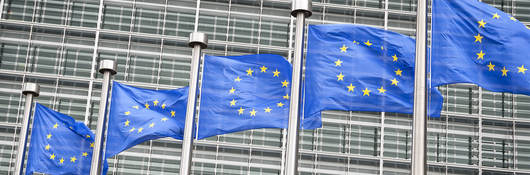 European union flags flying in front of a gray building