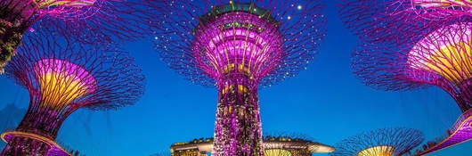 Singapore Super Trees