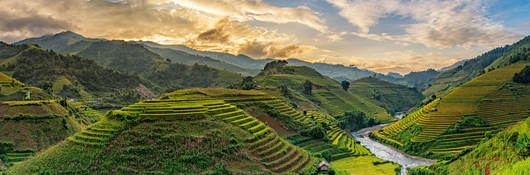 Vietnamese countryside