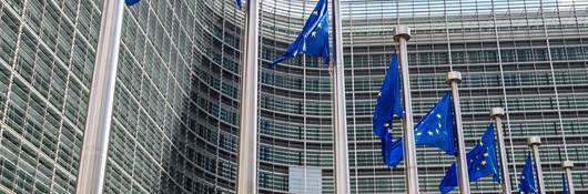 European Union flags flying in front of a building