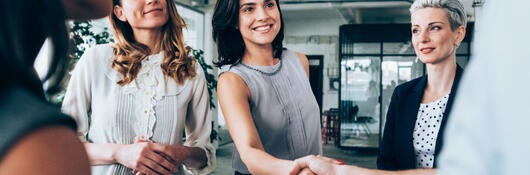 Group of business professionals greeting each other and shaking hands 