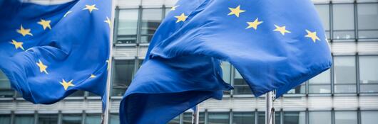 EU flags blowing in the wind