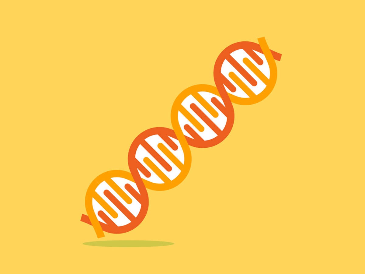 Drawing of DNA strand