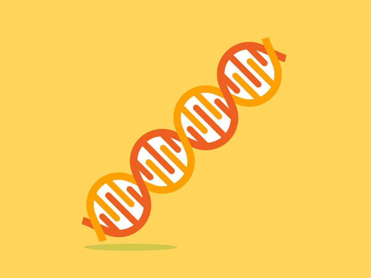 Drawing of DNA strand