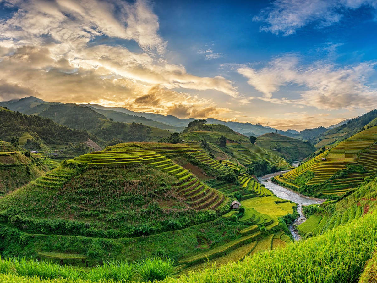 Vietnamese countryside