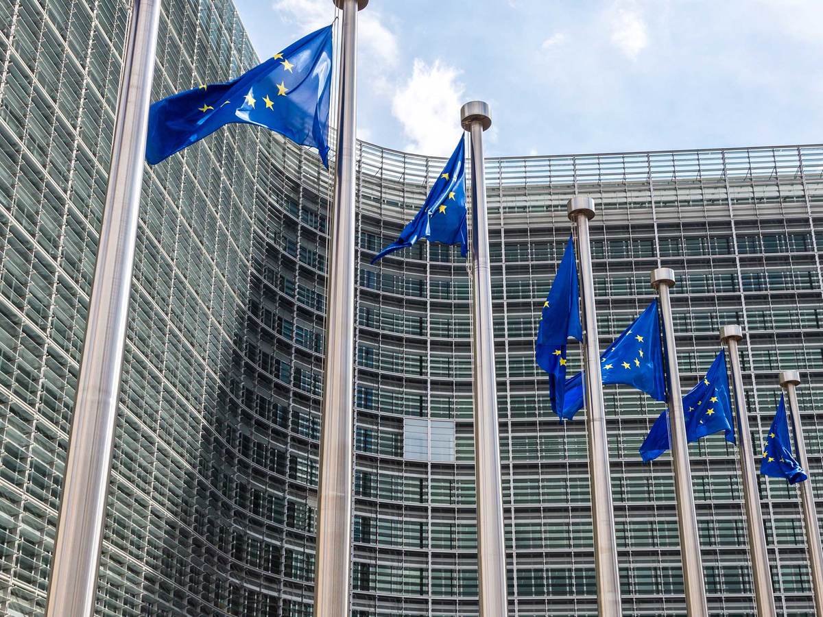 European Union flags flying in front of a building