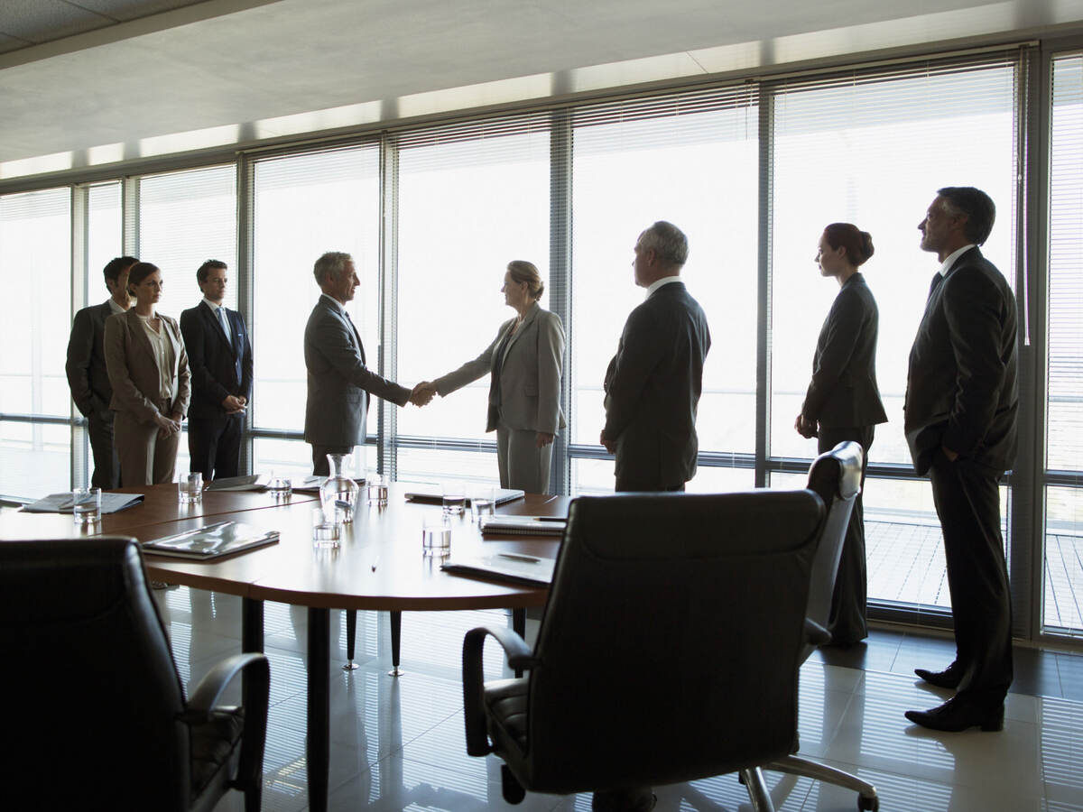 Group of business professionals meeting in a conference room