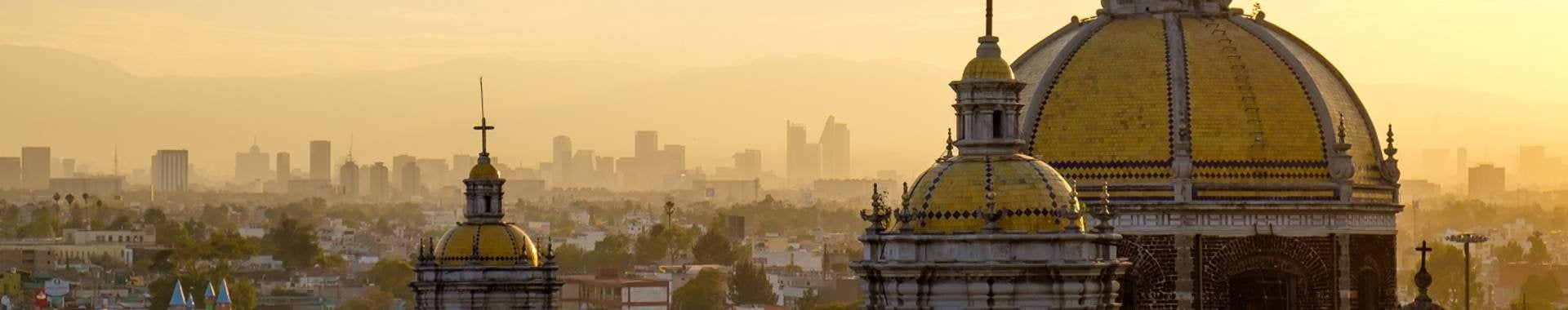 Basilica Guadalupe Mexico City skyline