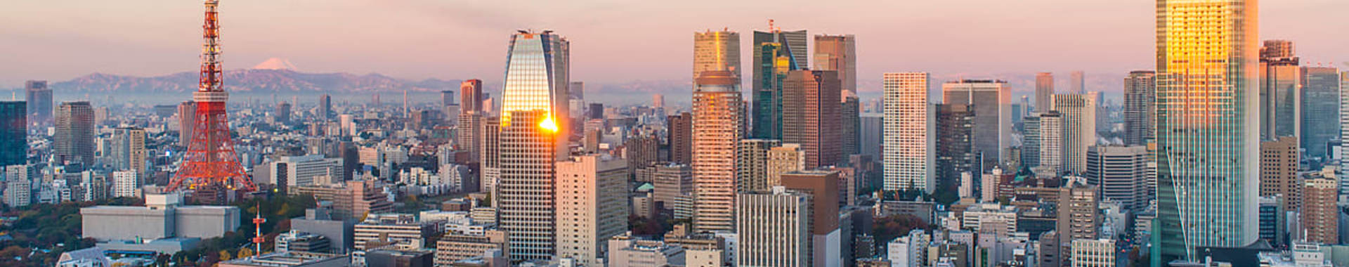 Overhead view of Japanese city