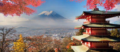 Japan PMD Act revisions include fast-track reviews for some medical devices and IVDs