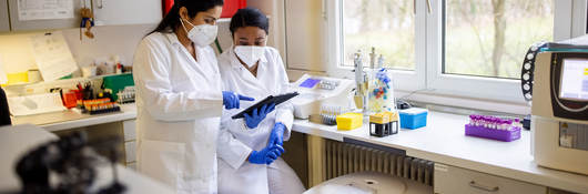 Brazil INMETRO Certification Consulting for Medical Devices