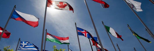 Customized Regulatory Pathway Reports for Smaller International Markets