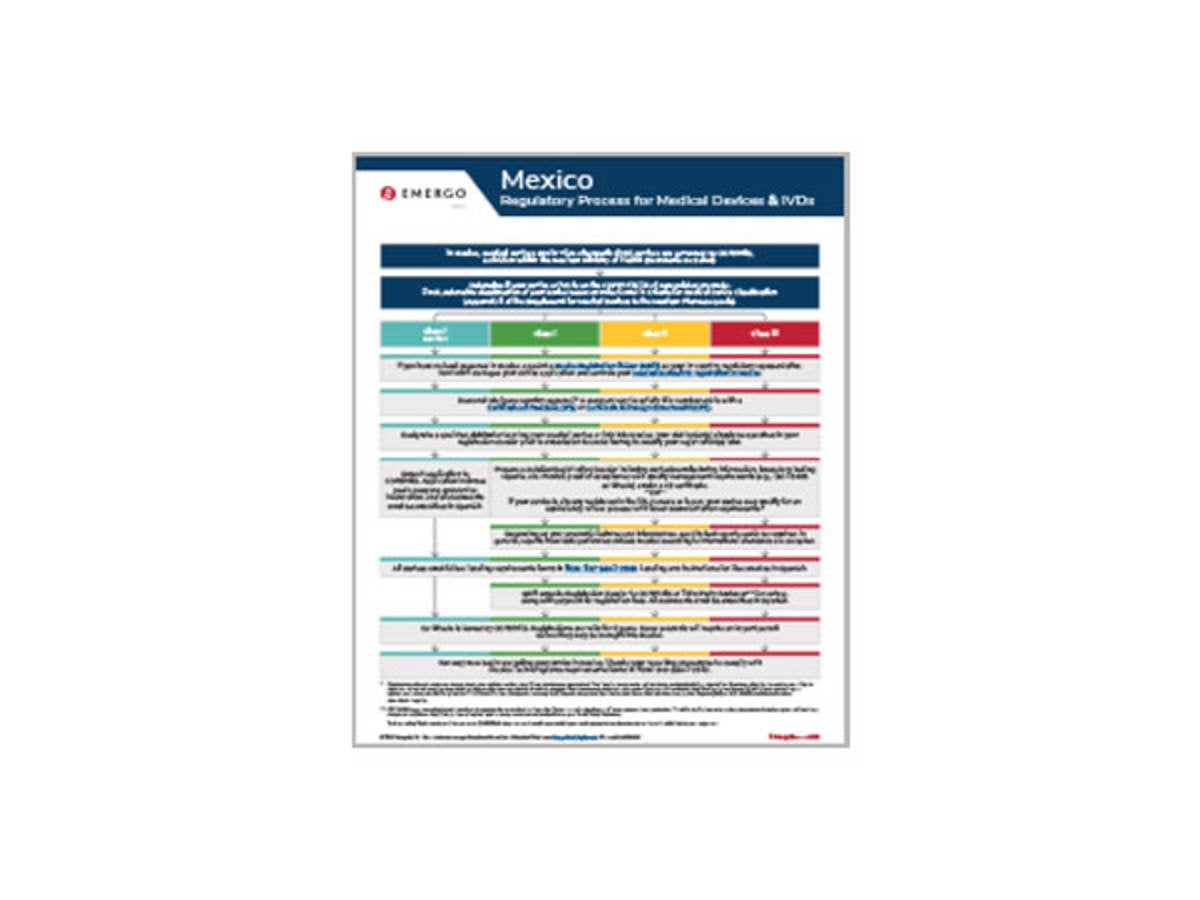 Example of a Mexico COFEPRIS document