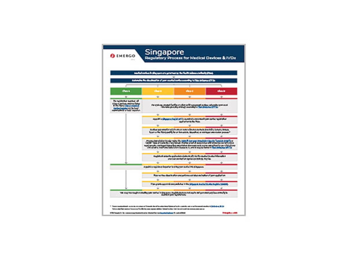 Sample of Singapore Regulatory Approval Process for Medical Devices document