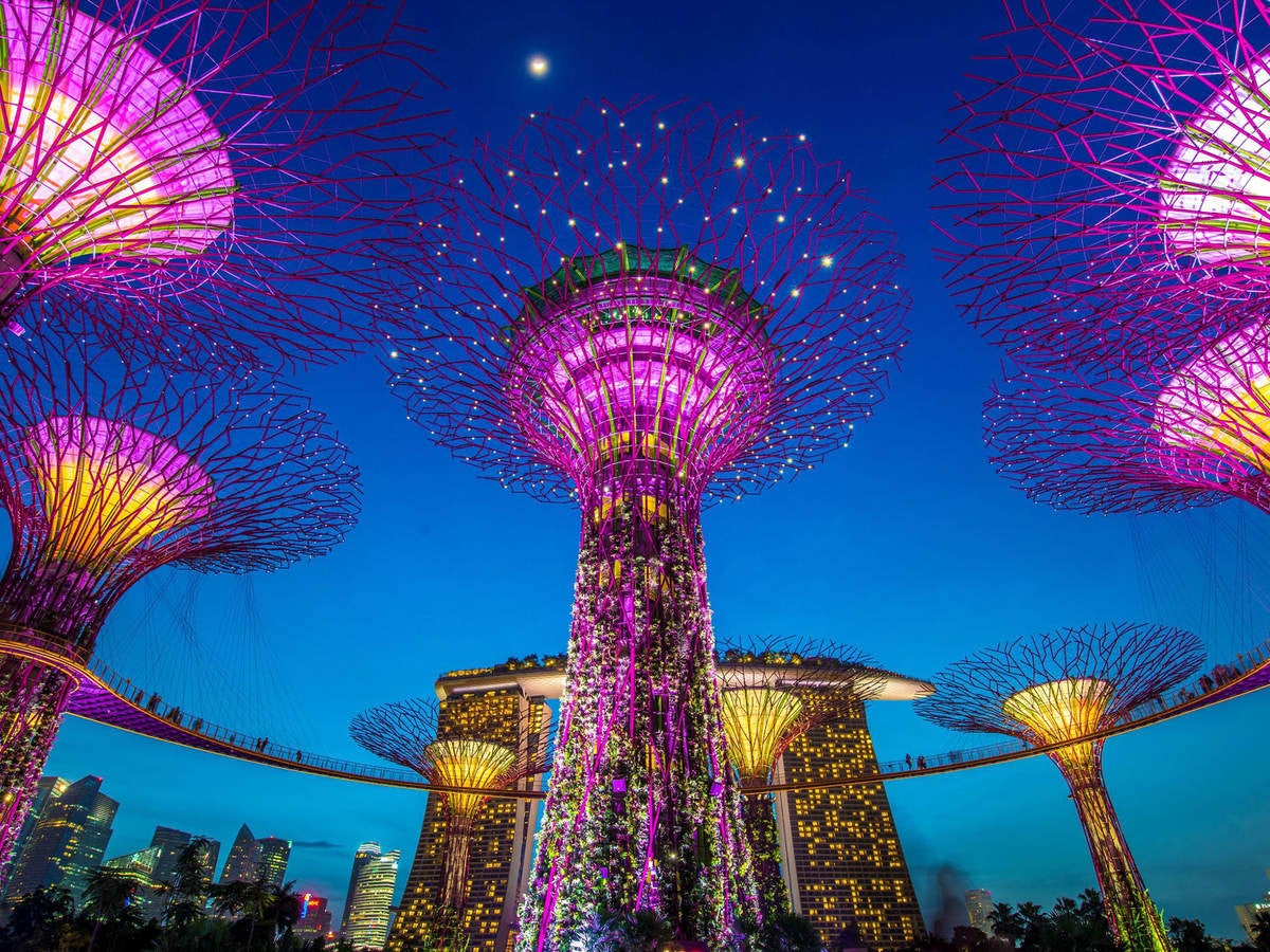 Singapore Super Trees