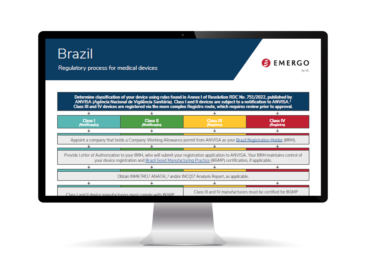 Brazil process chart on a monitor